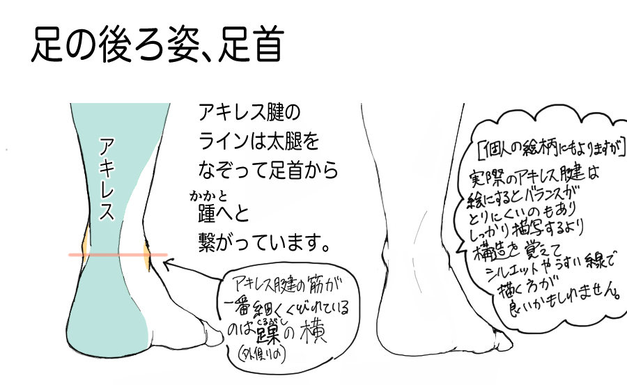 足の描き方に悩む人に向けて足の構造と考え方を実際の絵を使って解説 イラストブログ つぐまの森