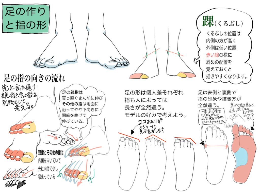 足の描き方に悩む人に向けて足の構造と考え方を実際の絵を使って解説 イラストブログ つぐまの森