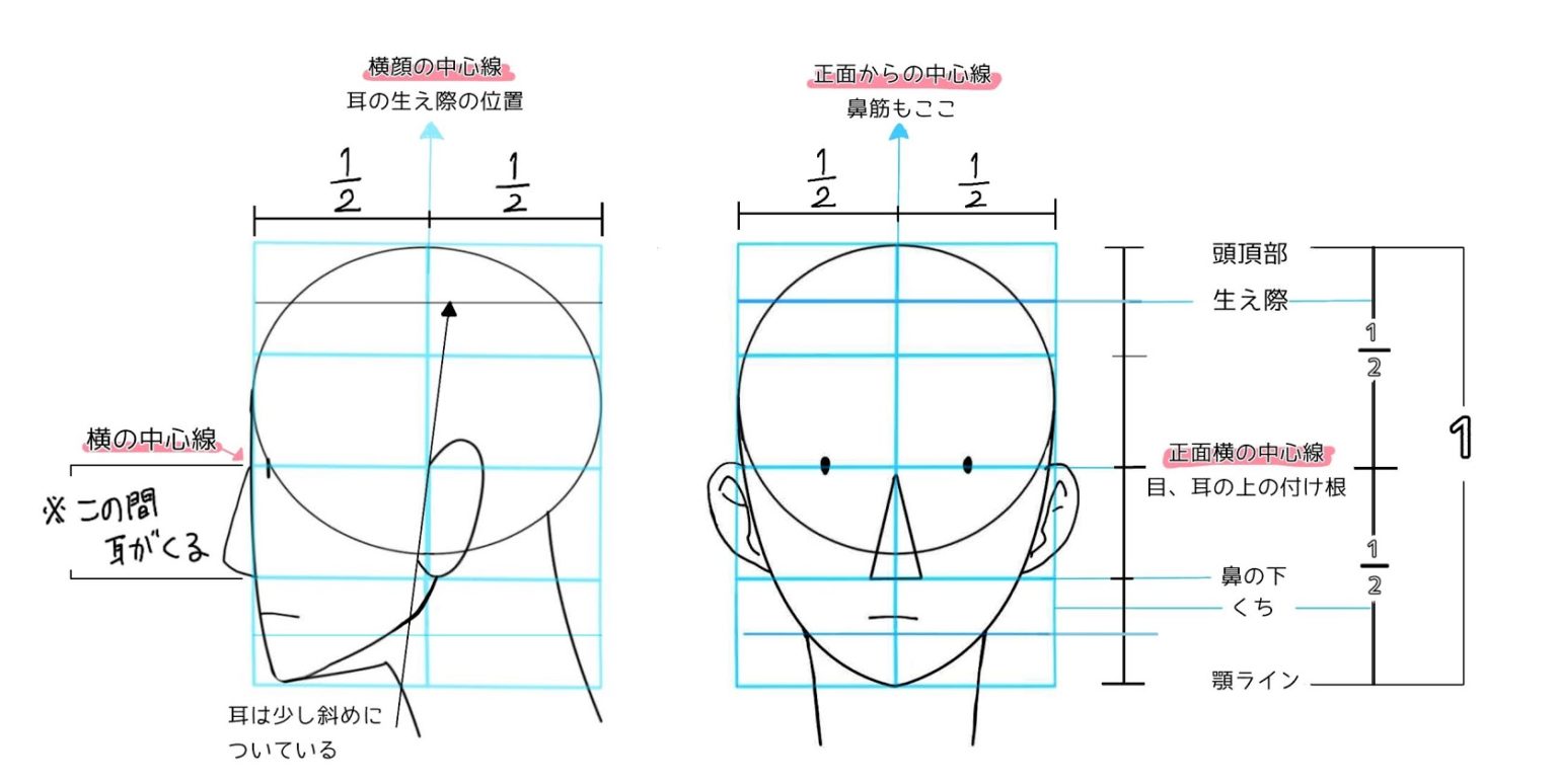 イラストの基本ワード「アタリ」を初心者向けにわかりやすく解説 - イラストブログ-つぐまの森-