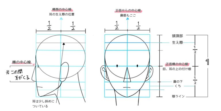 イラストの基本ワード「アタリ」を初心者向けにわかりやすく解説 - イラストブログ-つぐまの森-